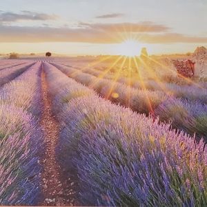 Wall Decor. Beautiful Sunrise sean